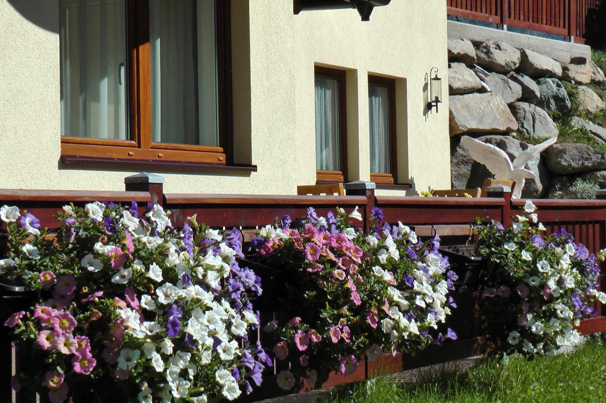 Appartement Adlerhof à Sankt Leonhard im Pitztal Extérieur photo